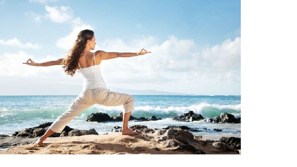 Wellness Wellness