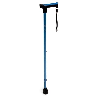 Wandelstok
