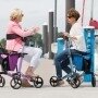 GEMINO 30 rollator