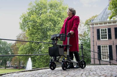 Wheelz ahead TRACK rollator
